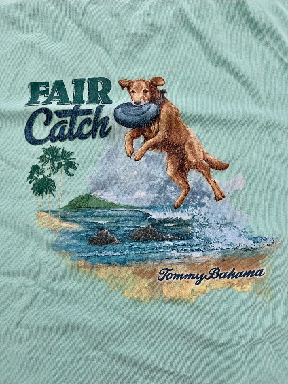 Tommy Bahama Seafoam Dog Frisbee Beach Graphic Tee